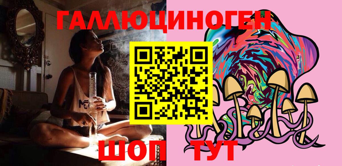 Костомукша  Галлюциногенные грибы Psilocybe  Вход с VPN  Псилоцибиновые грибы мицелий 